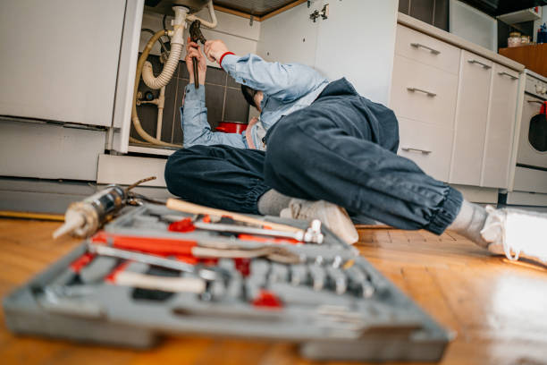 Best Emergency Plumbing Repair  in Carroll, IA