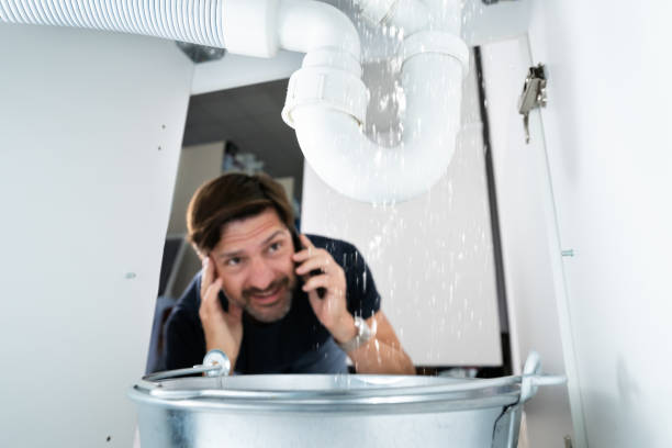 Best Water Softener Installation  in Carroll, IA