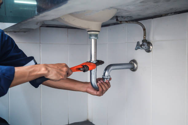 Best Emergency Plumber  in Carroll, IA