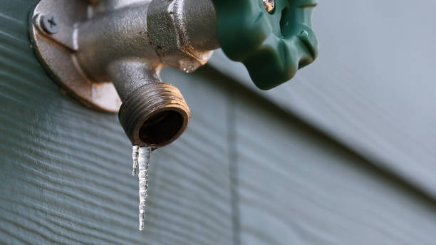 Best Shower Repair Services  in Carroll, IA