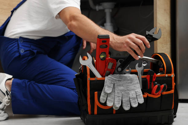 Best Drain Cleaning Services  in Carroll, IA