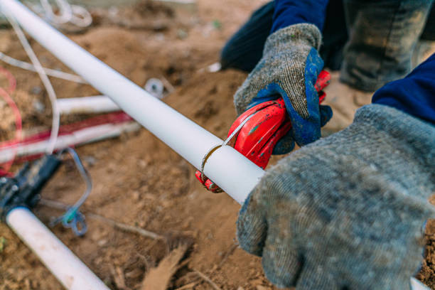 Best Plumbing Services Near Me  in Carroll, IA