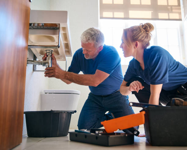 Best Commercial Plumbing Services  in Carroll, IA